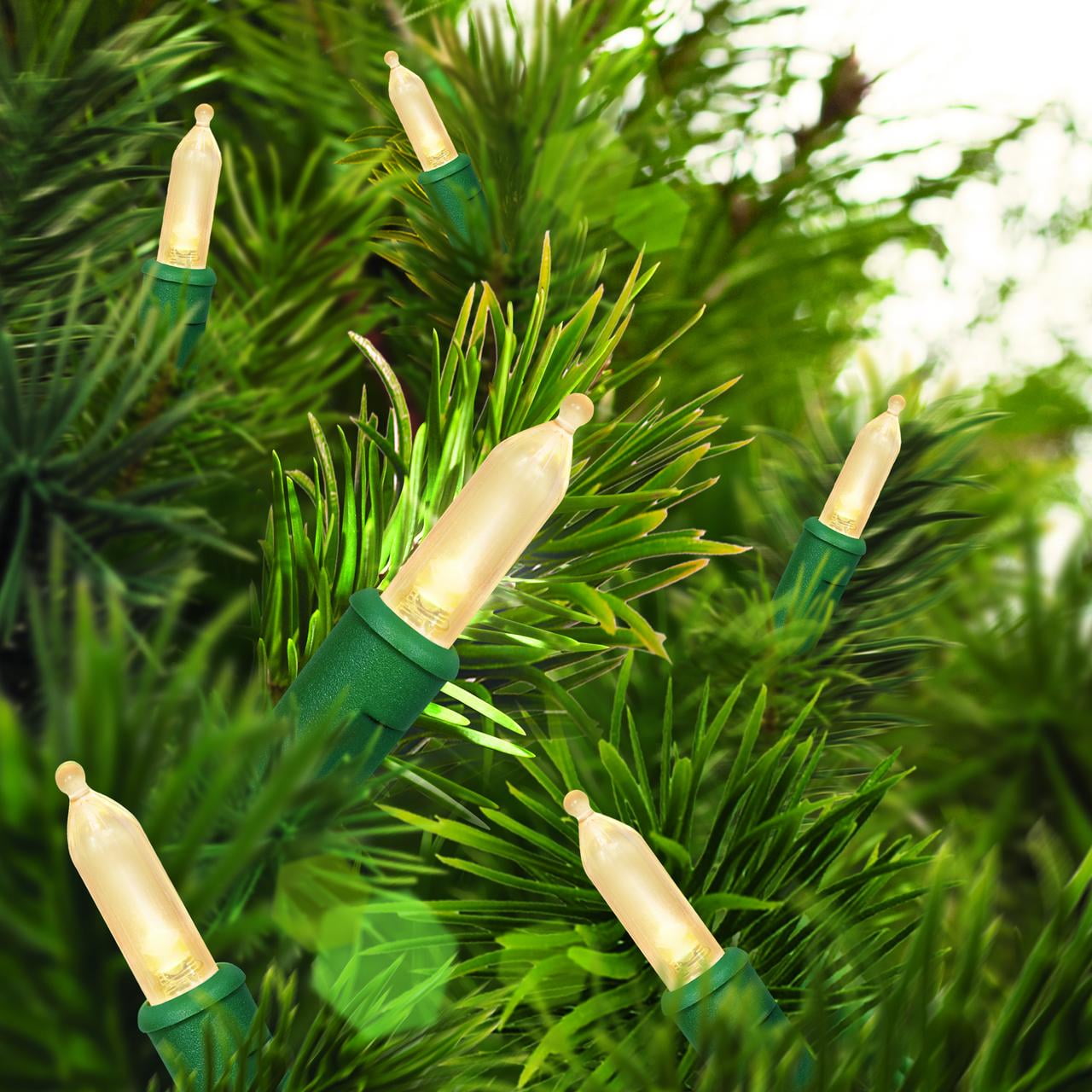 Indoor/Outdoor 100-Count LED Mini Christmas String Lights, Warm White, 19.5', by