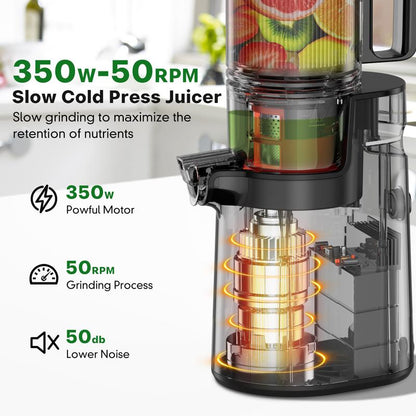 LQZ Cold Press Juicer-Slow Masticating Machines, 350W, 4.3" Feed Chute for Whole Fruits & Vegetables,High Juice Yield,Easy to Clean