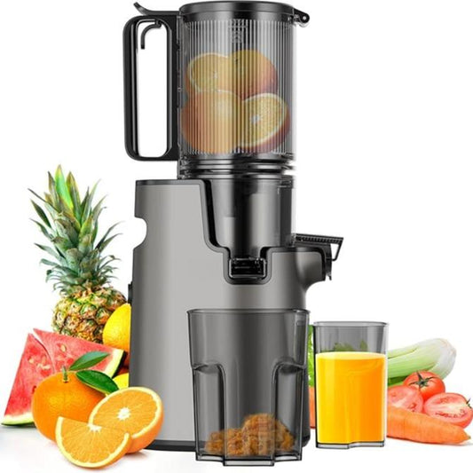 LQZ Cold Press Juicer-Slow Masticating Machines, 350W, 4.3" Feed Chute for Whole Fruits & Vegetables,High Juice Yield,Easy to Clean